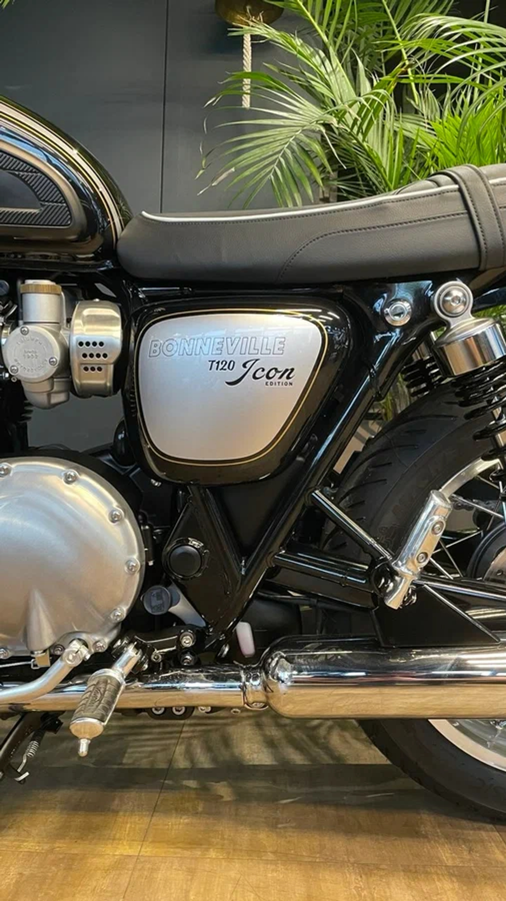 Triumph Bonneville T120 Icon Edition, 2025