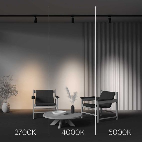 Трековый светодиодный светильник Maytoni Technical Focus Led TR197-3-20WCCT-M-B