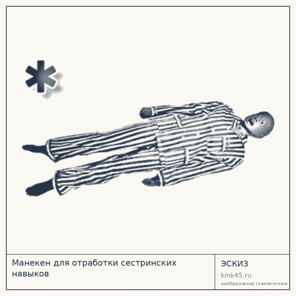 Манекен для отработки сестринских навыков — от 229 000 ₽