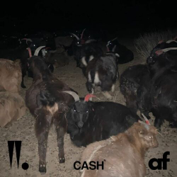 Альбом Woo Wonjae - AF EP Album