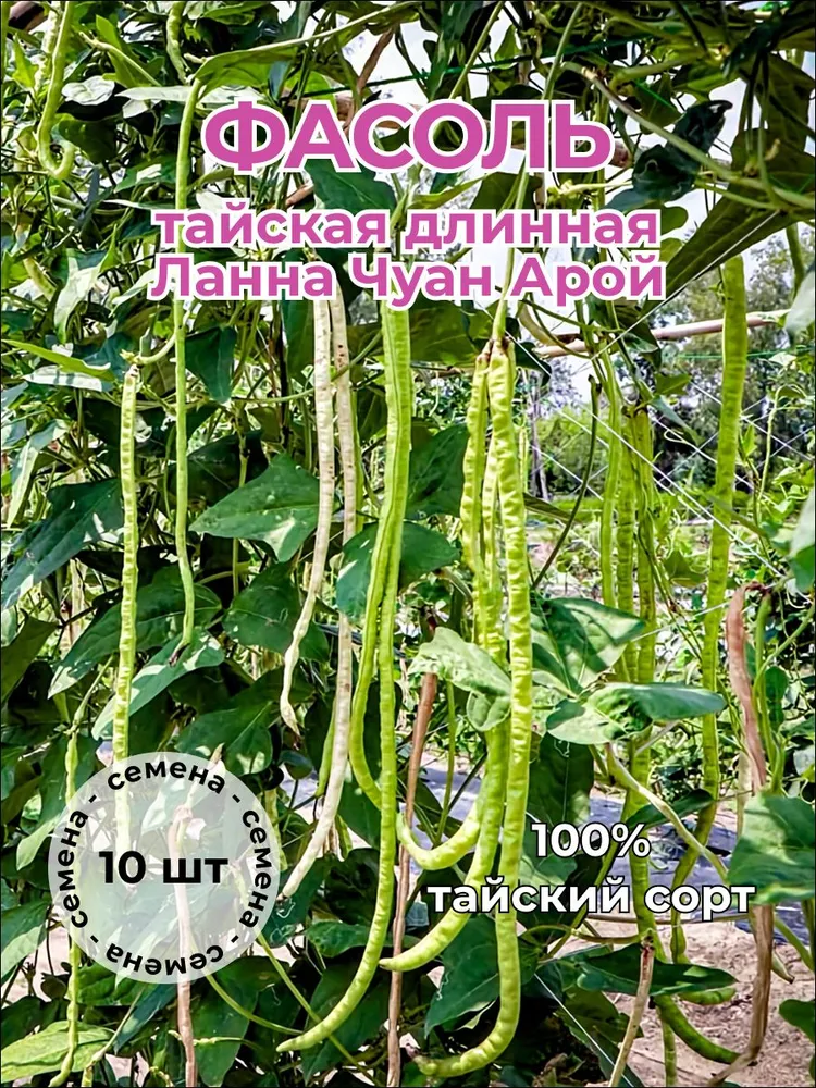 Фасоль длинная Ланна Чуан Арой — семена, 10 шт.