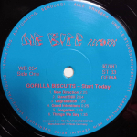 Gorilla Biscuits / Start Today (LP)