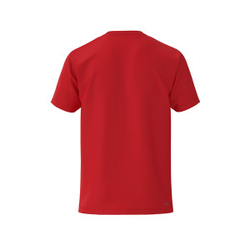 Футболка Element 24 LIQUIDate T-shirt — Academy red