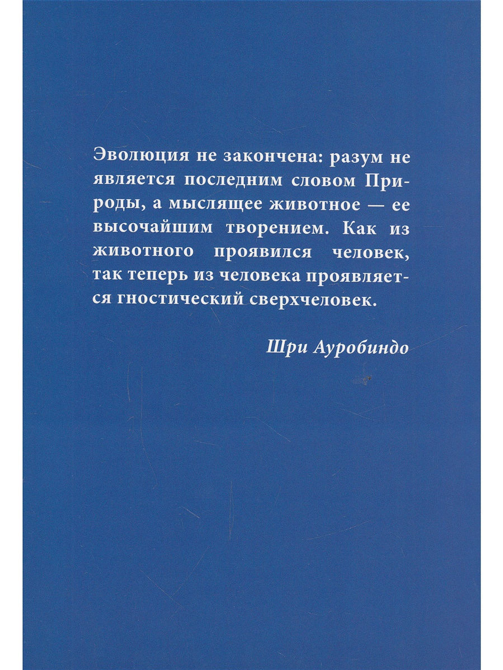 За пределы человека. Жизнь и деятельность Шри Ауробиндо и Матери