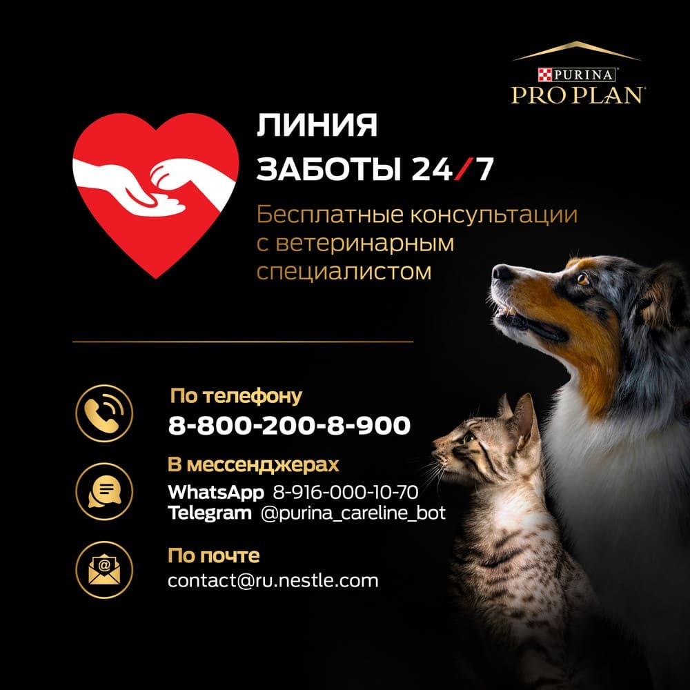 Сухой корм Ягнёнок  для взрослых собак мелких пород Pro Plan РАЗВЕСНОЙ