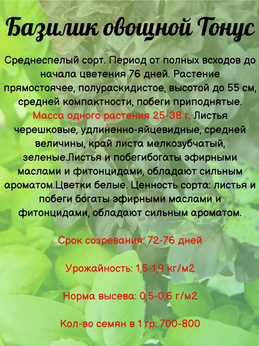 Семена Базилика набор 6 гр