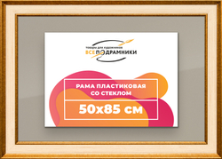 Рамка 50x85 для постера и фотографий