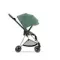 Детская коляска Cybex Mios 2 в 1 Leaf Green Rosegold