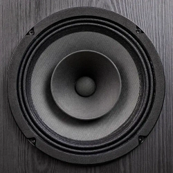 Radiotehnika Rondo Stage 400 Black пассивная напольная акустическая система