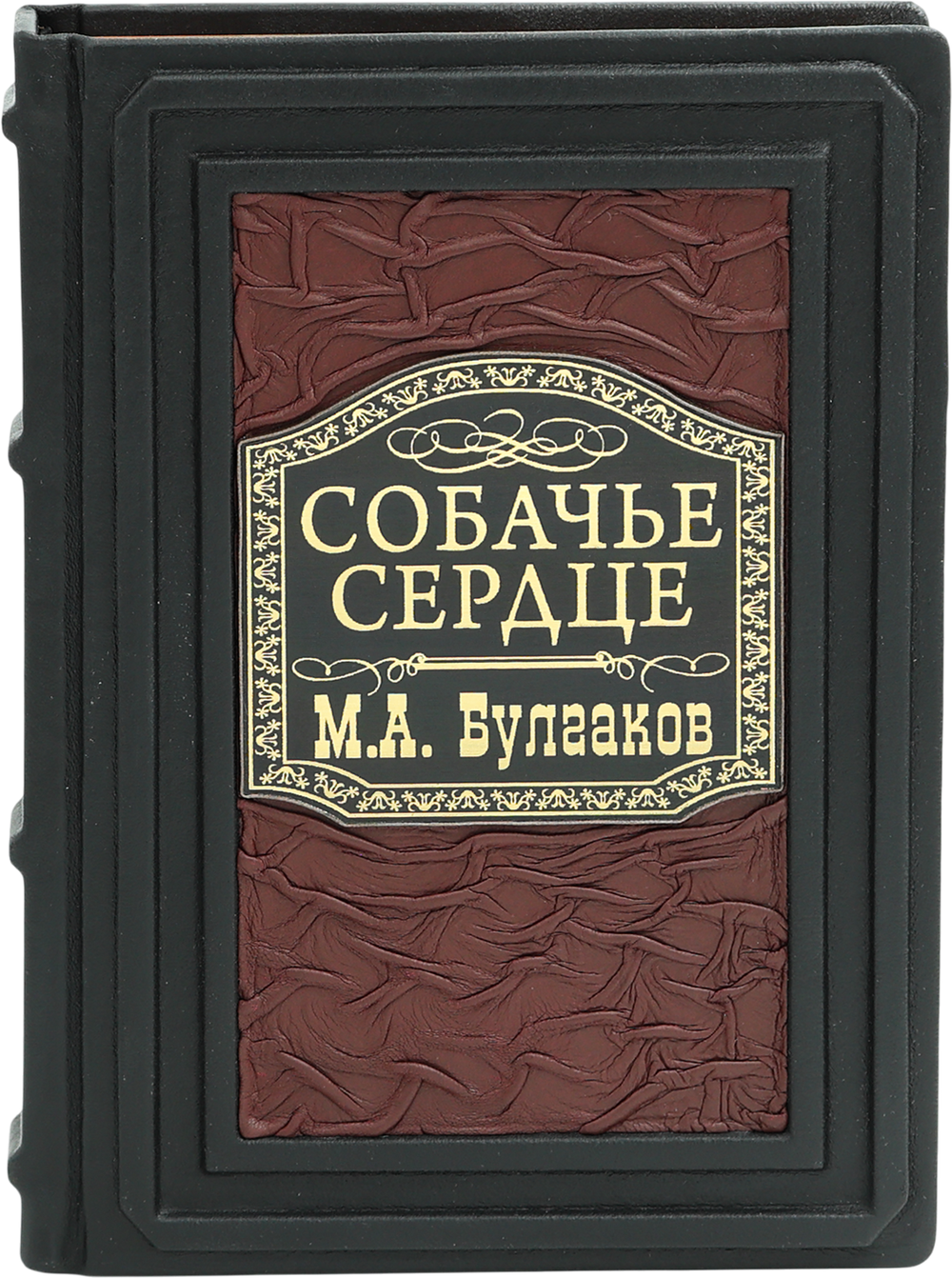 Собачье сердце и другие московские фантасмагории