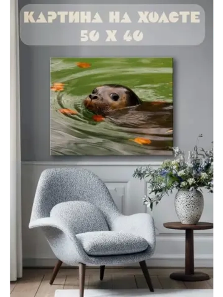 Картина на стену 40 X 50 Тюлень