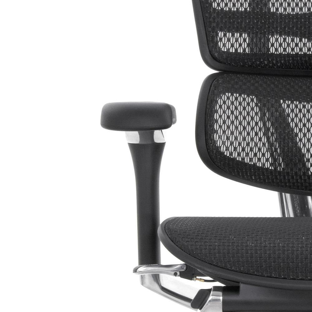 Кресло FALTO Ergohuman Luxury 2 с подножкой ( чёрный каркас /сетка чёрный T-168-B1 Black )
