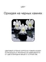 Обеденный стол "Орхидея на чёрном камне" 110x70 см