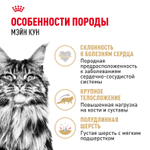 Royal Canin Maine Coon Adult Мейн Кун Эдалт Корм влажный для взрослых кошек породы Мэйн Кун соус 85г