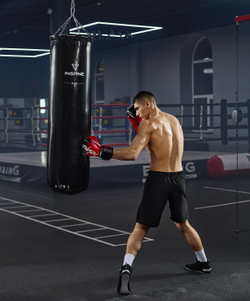 Мешок боксерский PRO PUNCH, 150 см, 60 кг, тент, черный
