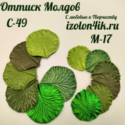 Молд С-49 «Лист Брассика», 5,1*5,2 см