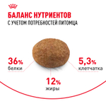 Royal Canin Sterilised 7+ Стерилайзд Корм сухой сбалансированный для стерилизованных кошек старше 7 лет 3,5кг