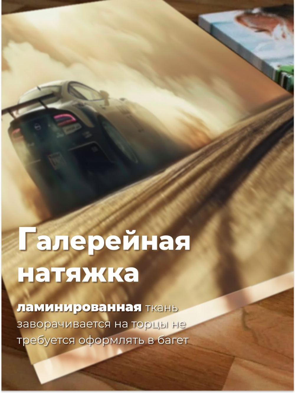 Картина Desert racing на стену 40х80 1 шт