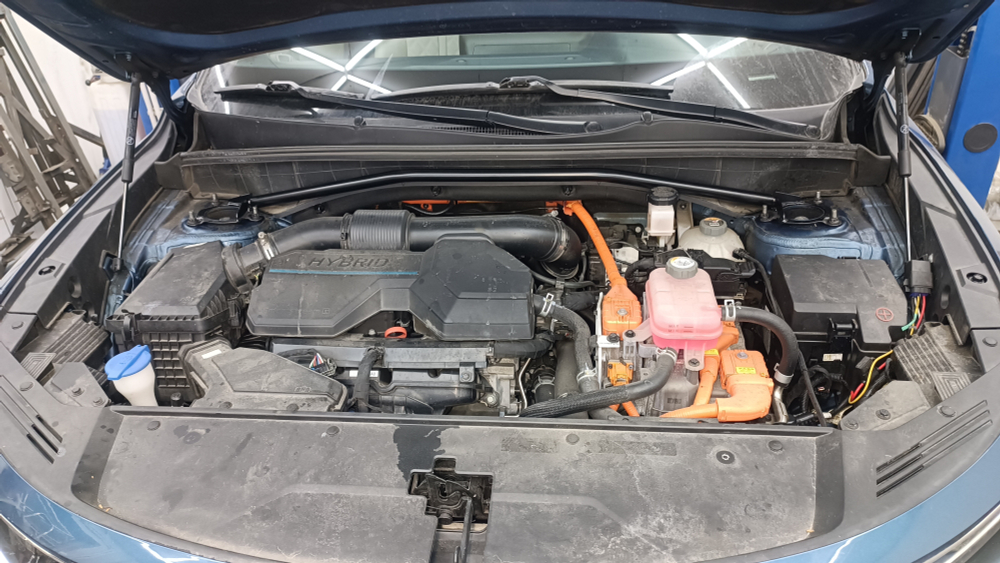 Распорка передних стоек Kia Sorento 4 (MQ) (ПОД ЗАКАЗ)
