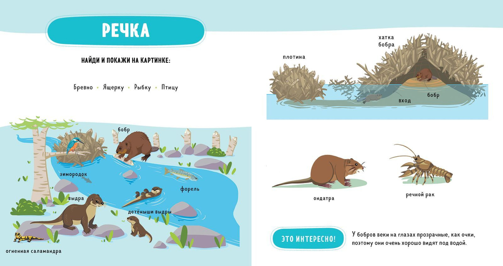 Главная книга малыша. Прогулка по лесу