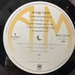 Винтажная виниловая пластинка LP Yesterday and Today (Y and T) Black Tiger (Japan 1982) (Obi)