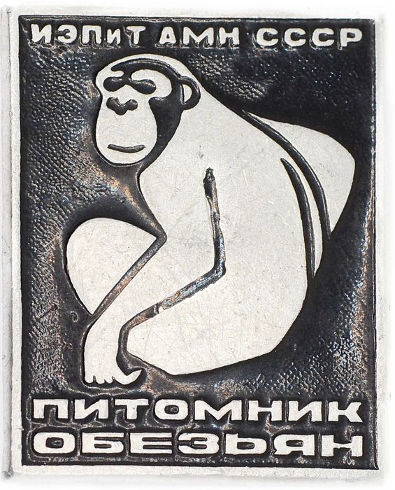 Значок "Питомник обезьян ИЭПиТ АМН СССР", булавка