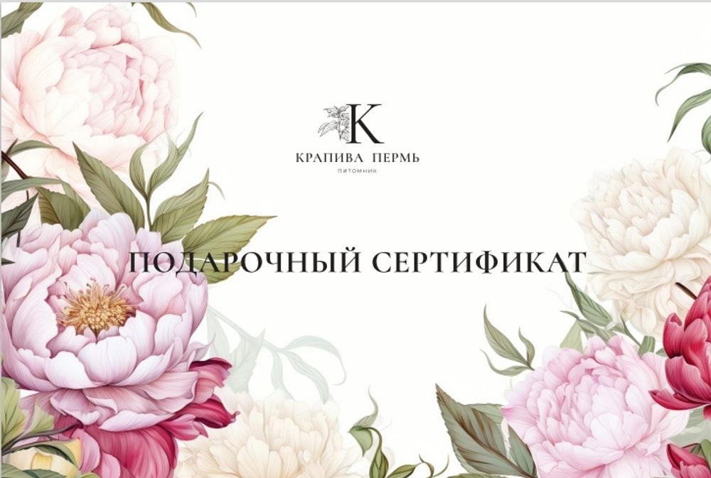 СЕРТИФИКАТ ПОДАРОЧНЫЙ СЕРТИФИКАТ ПОДАРОЧНЫЙ