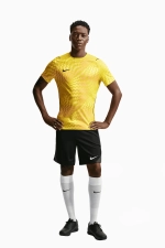 Вратарская футболка Nike Gardien VI Goalkeeper - желтый