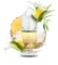 Solana - Pineapple Coconut (5% nic)
