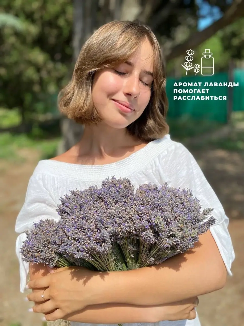 Сухоцветы для декора цветы лаванда натуральная