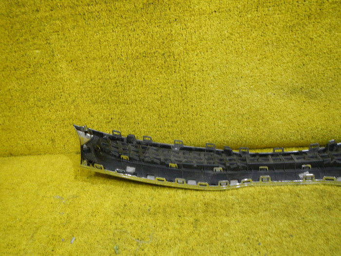 DSCN4545.JPG