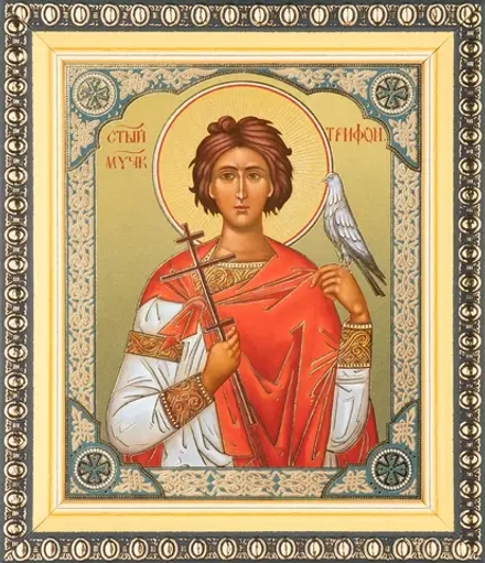 Икона "Трифон Апамейский" 10х12 в раме 13х15