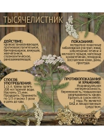 Тысячелистник соцветия для чая, свечей и магии