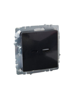 Розетка BRITE USB A+C 18Вт РЮ11-1-БрЧ механизм черн. IEK BR-U22-018-K02