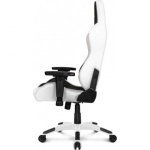 Компьютерное кресло AKRacing Arctica (ARCTICA-WHITE) white/black