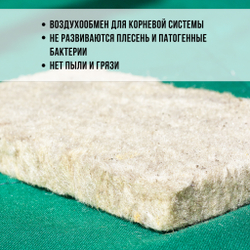 Агровата для выращивания свежей микрозелени / 100 шт./ 16,5*10*1,5 см.
