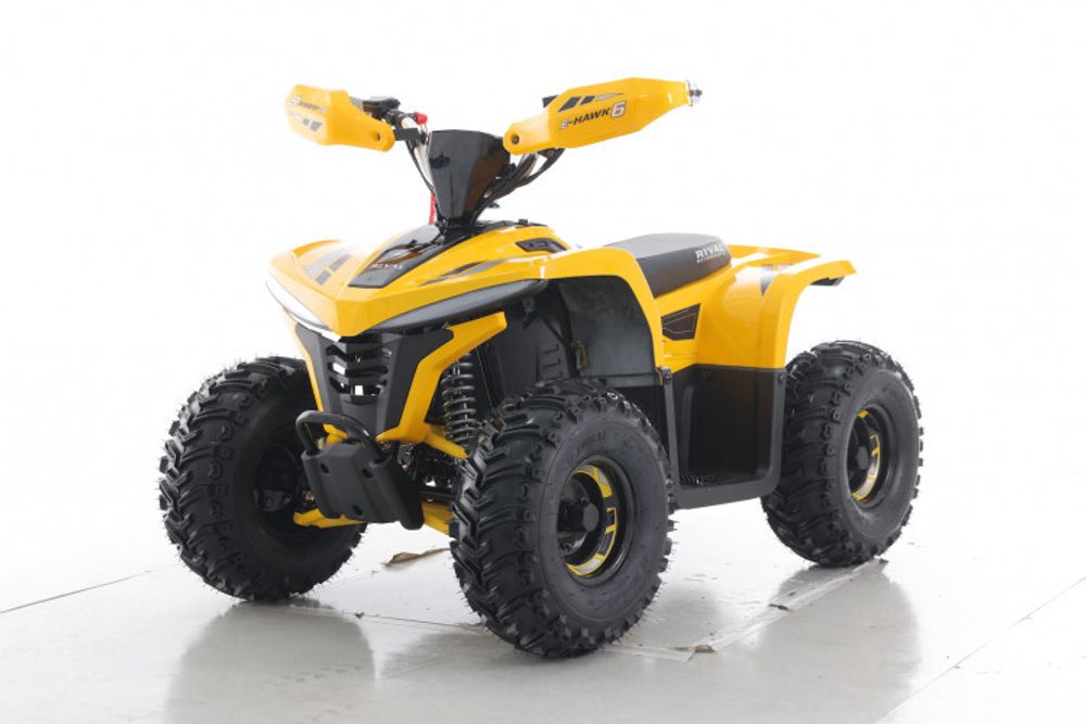 Квадроцикл детский, подростковый GreenCamel Гоби K90 (48V 750W R7 Дифференциал) Tao LUX