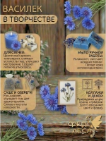 Василёк синий цветы-корзинки для чая и декора
