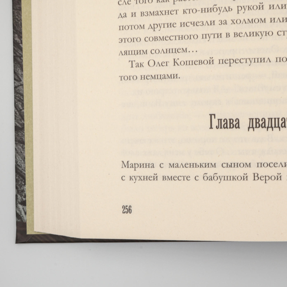 Молодая гвардия | Александр Фадеев