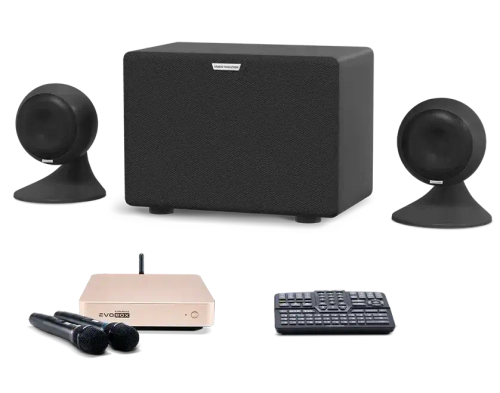 Караоке система Evobox Classic с микрофонами + Акустическая система EvoSound Sphere