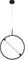 Подвесной светильник Dolores A2565SP-1BK Arte Lamp