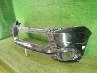 DSCN8117.jpg