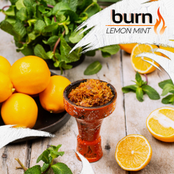 Burn - Lemon Mint (200г)