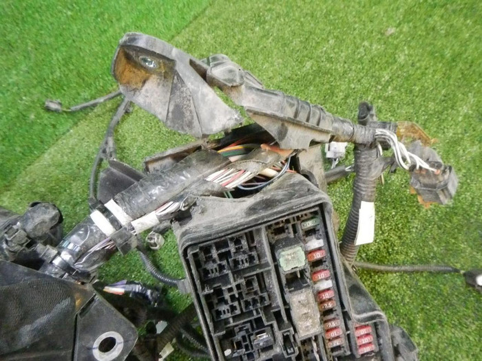 DSCN2318.jpg