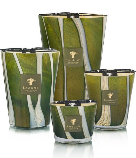 Sherwood, свеча MAX 16 Sacred Trees collection, Baobab Collection