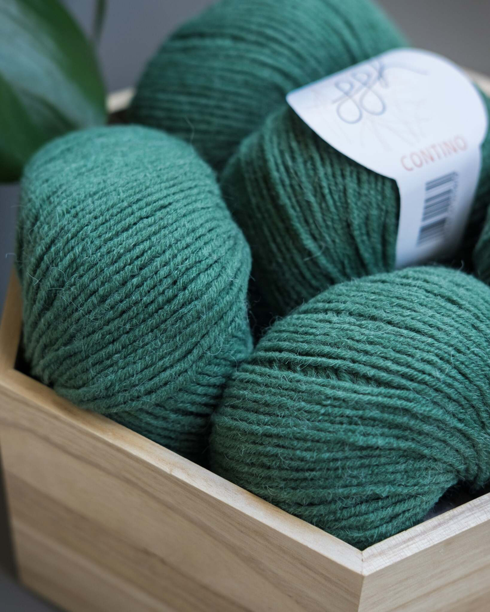 -60% Contino 5x50g | 12 Sea green