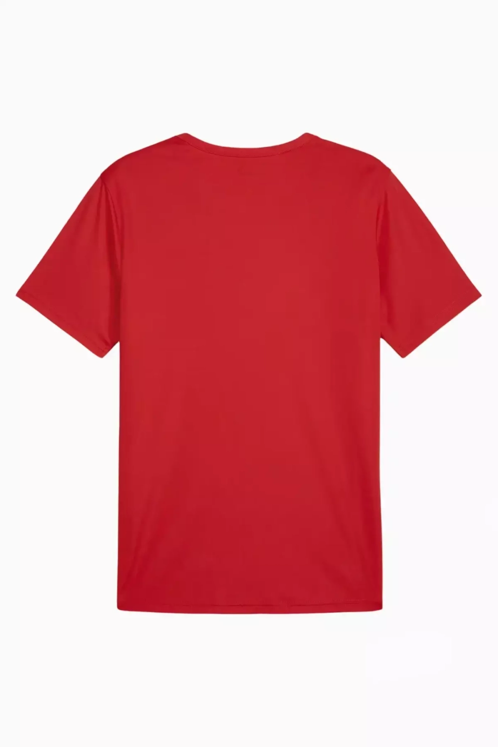 Футболка Puma teamRISE Matchday