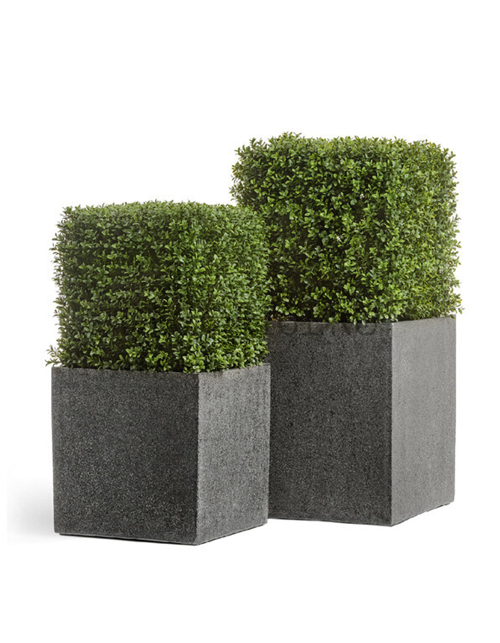 Самшит квадрат уличный новый на каркасе в-72 см, 48х48 см 1/1 10.44703N