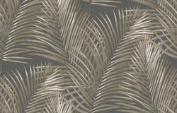 Amazonia / Амазония