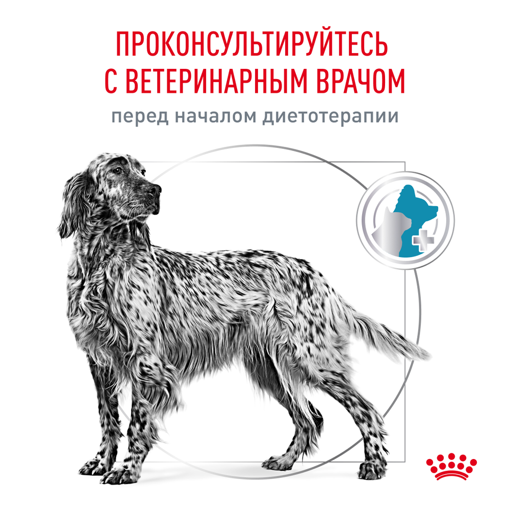 Royal Canin Hypoallergenic Canine Гипоаллердженик канин Корм сухой диета для взрослых собак при пищевой аллергии 4кг